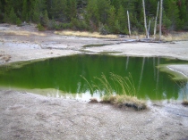 Bacteria-tinted pond, Yellowstone, USA